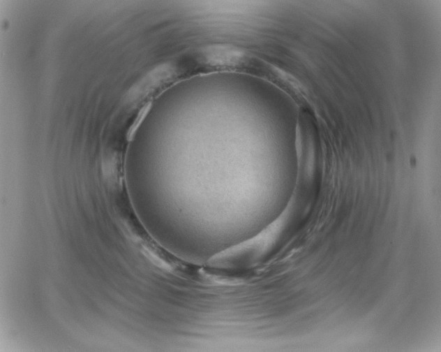 X0000066950428200603241148