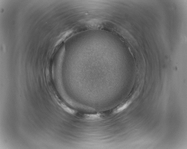 X0000066950432200603241148