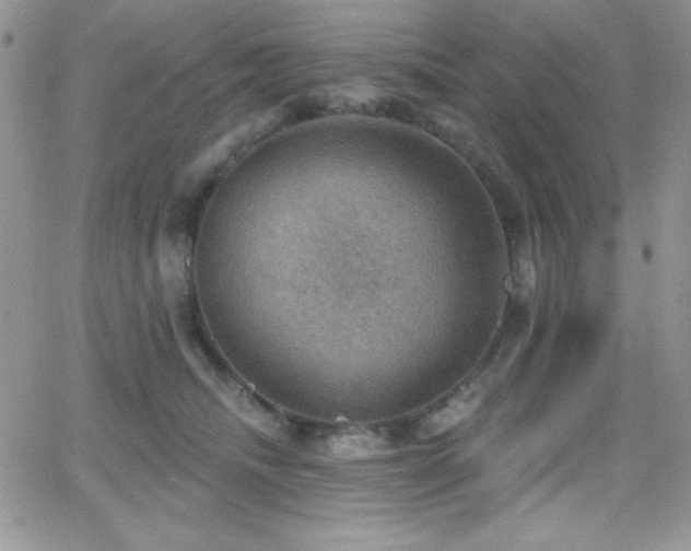 X0000066950468200603241148
