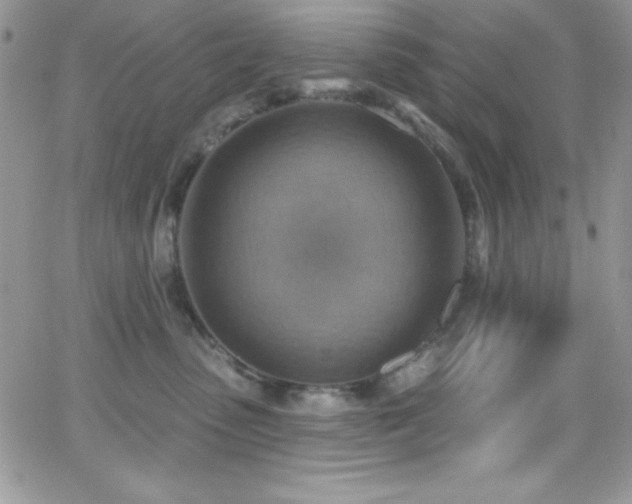 X0000066950475200603241148