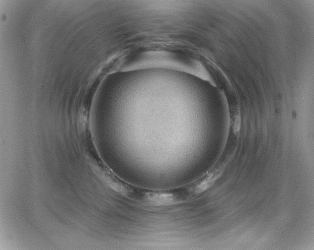 X0000066950476200603241148