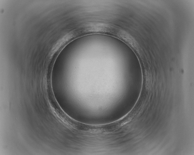 X0000066950482200603241147