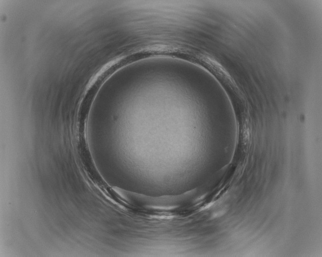 X0000066950484200603241147