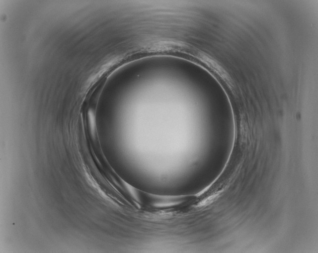 X0000066950485200603241147