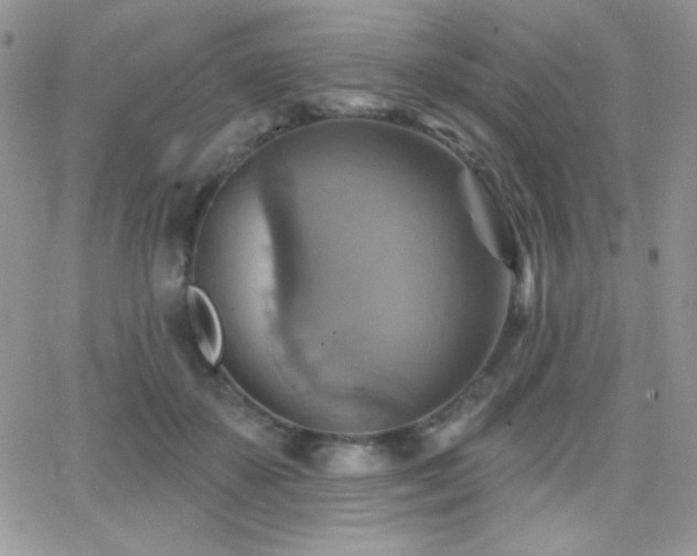 X0000066950507200603241147