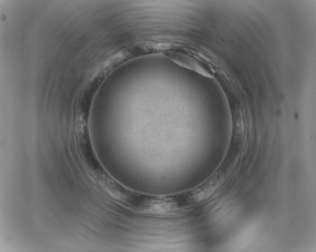 X0000066950555200603241146