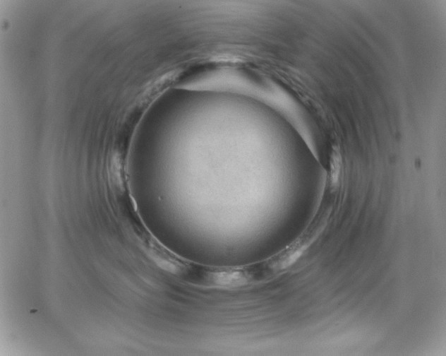 X0000066950575200603241147