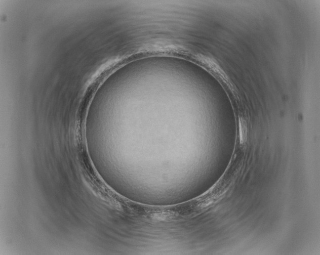 X0000066950579200603241146