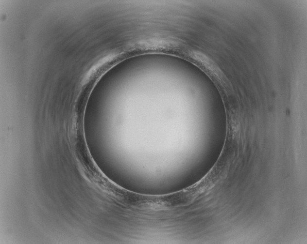 X0000066950583200603241146