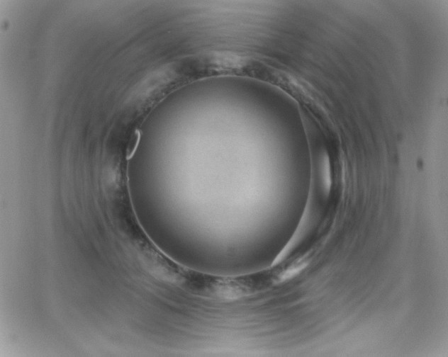 X0000066950608200603241145