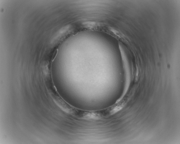 X0000066950611200603241145