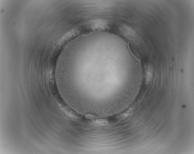 X0000066950619200603241145