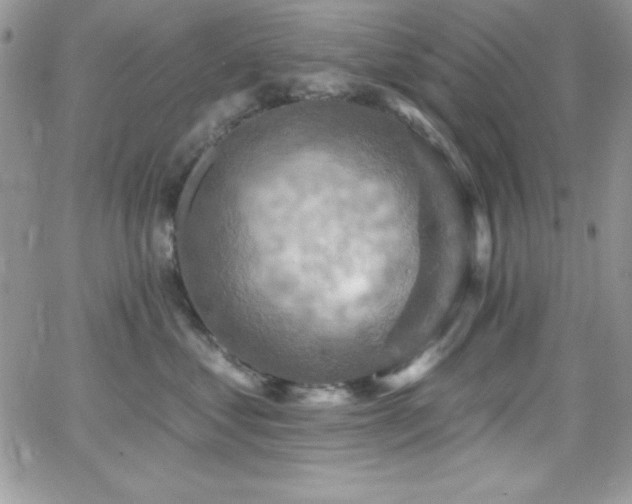X0000066950621200603241145