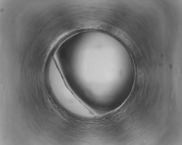 X0000066950628200603241144