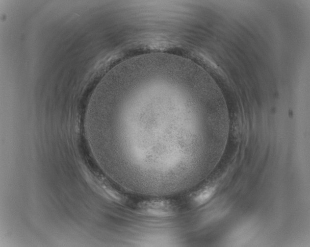 X0000066950639200603241145