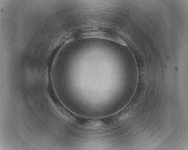 X0000066950642200603241145
