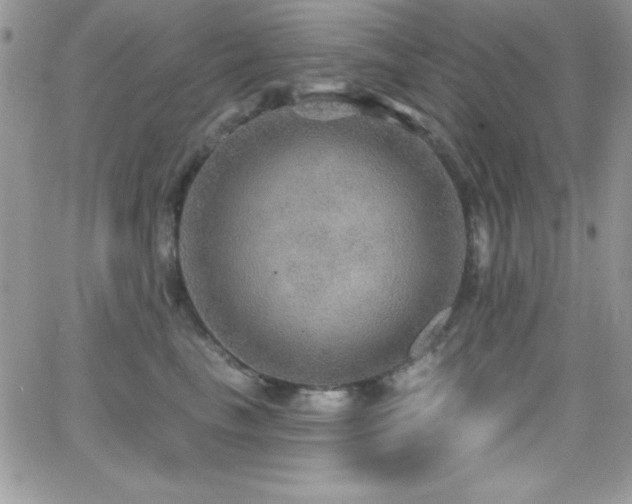 X0000066950665200603241145