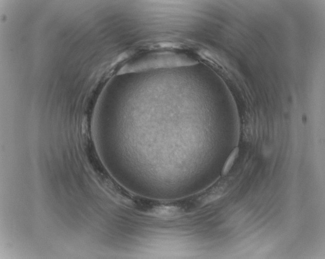 X0000066950748200603241143