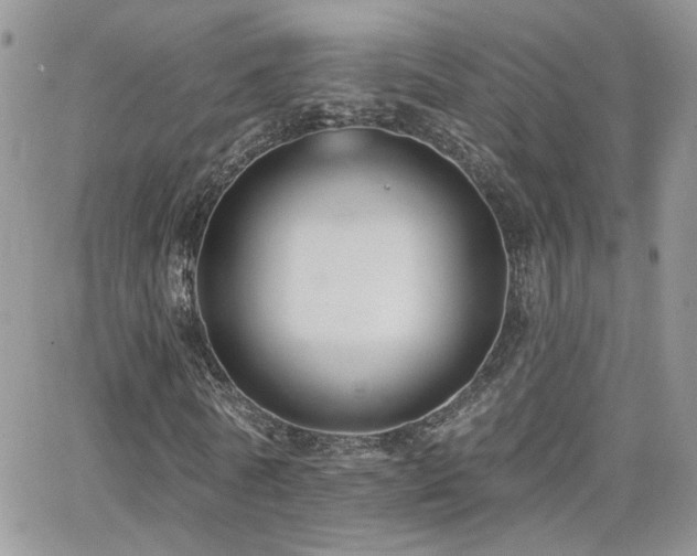 X0000066950770200603241143