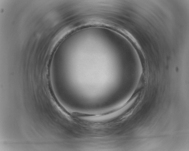 X0000066950799200603241142