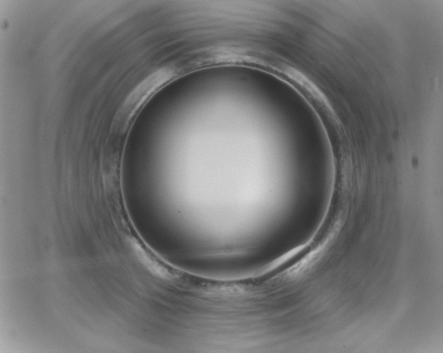 X0000066950801200603241142