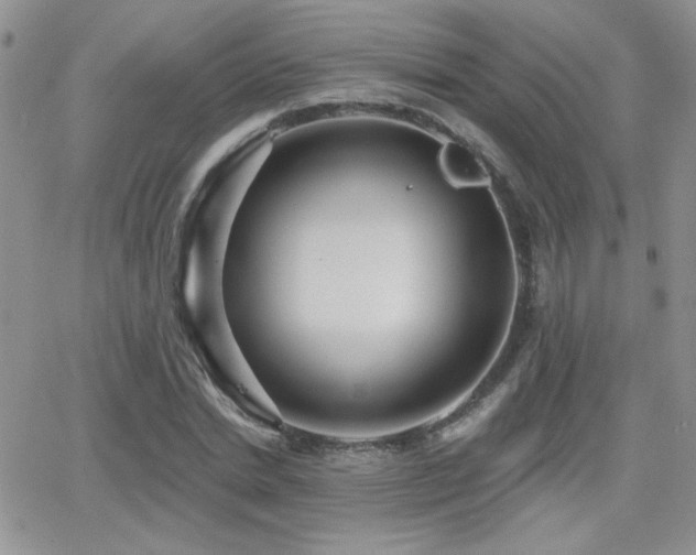 X0000066950830200603241141