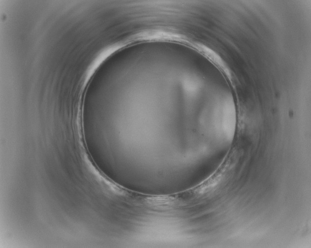 X0000066950863200603241142