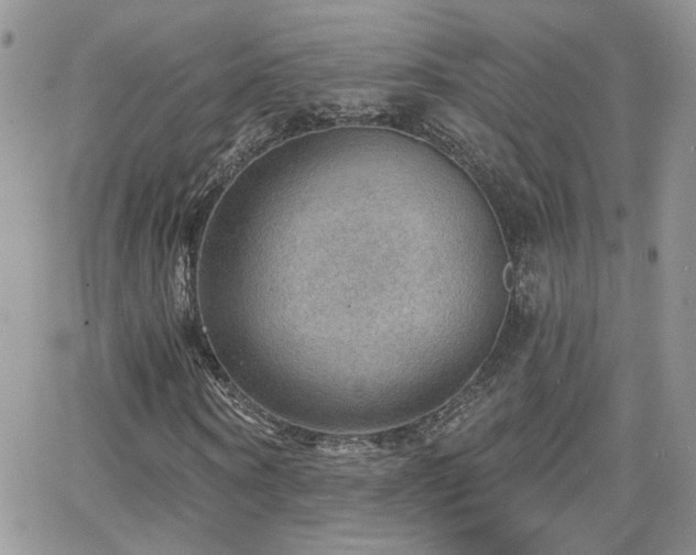 X0000066950866200603241141