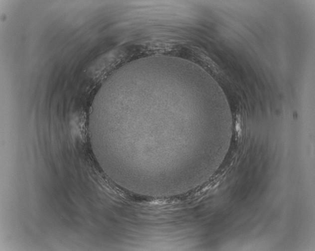 X0000066950867200603241141