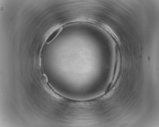 X0000066950900200603241141
