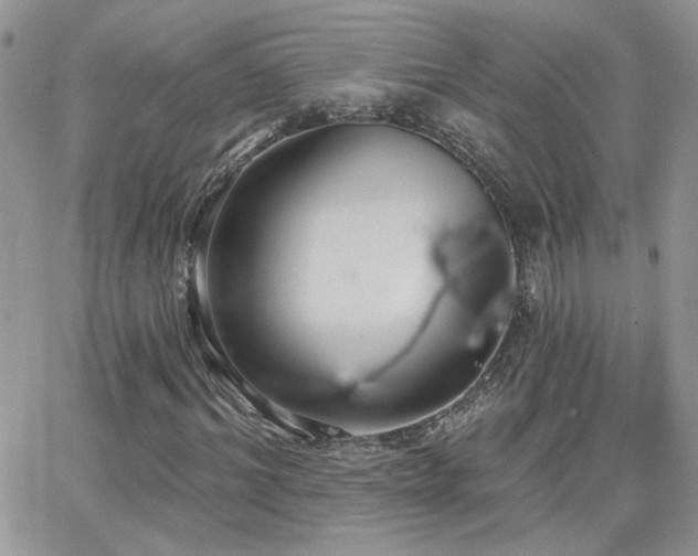 X0000066950964200603241140