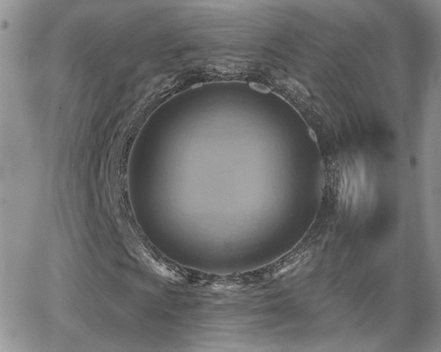 X0000066951009200603241138