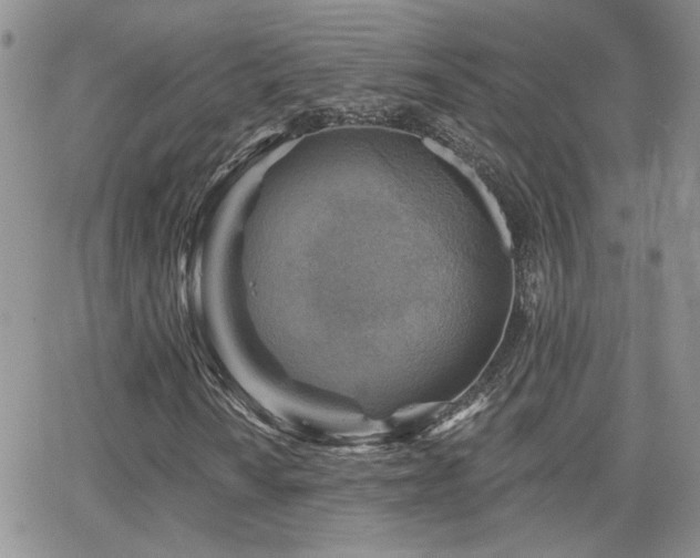 X0000066951010200603241138