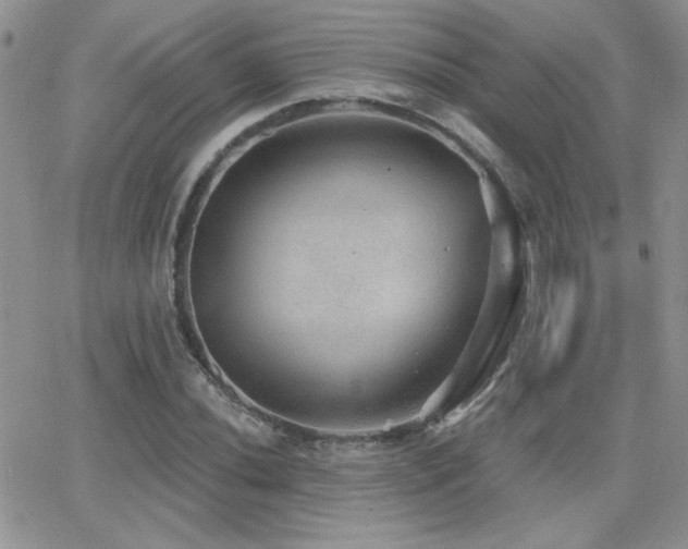 X0000066951020200603241138