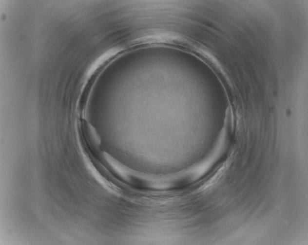 X0000066951034200603241138
