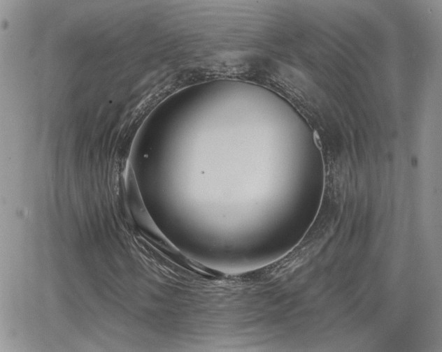 X0000066951058200603241138