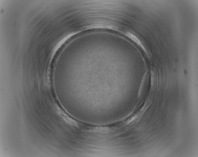 X0000066951068200603241138