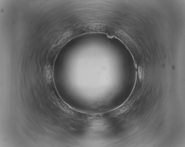 X0000066951107200603241136