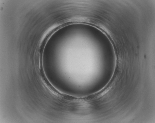 X0000066951123200603241137