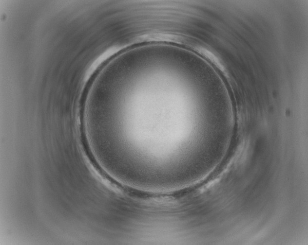 X0000066951133200603241137