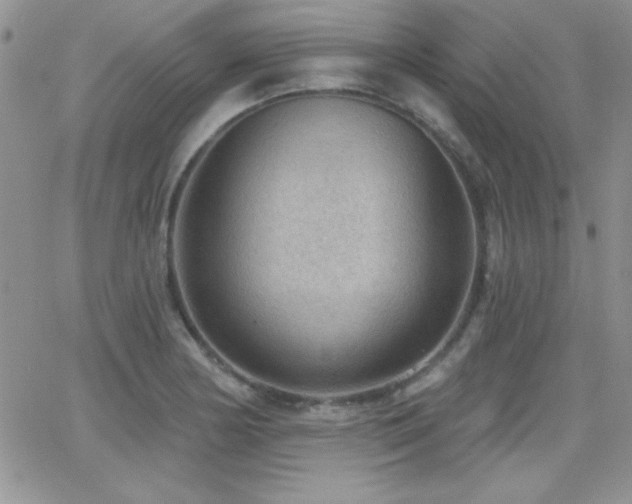 X0000066951178200603241136
