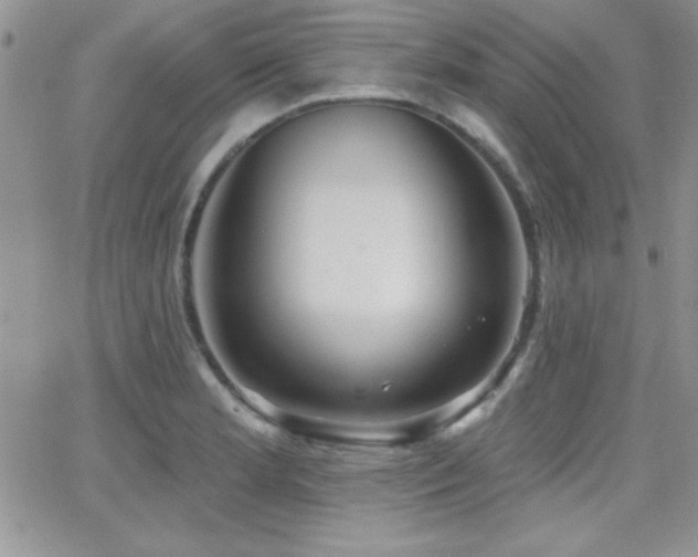 X0000066951181200603241136
