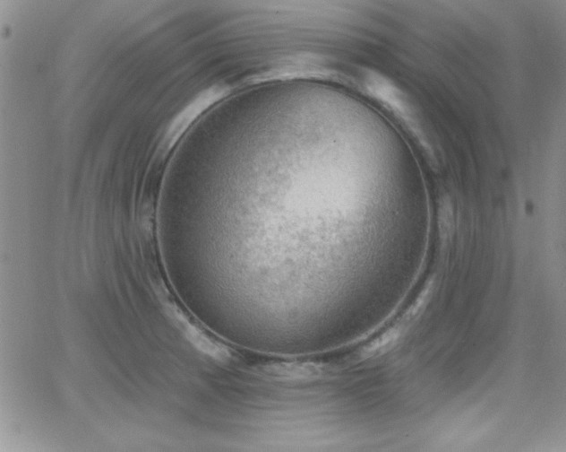 X0000066951185200603241136