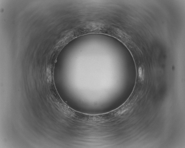 X0000066951203200603241135