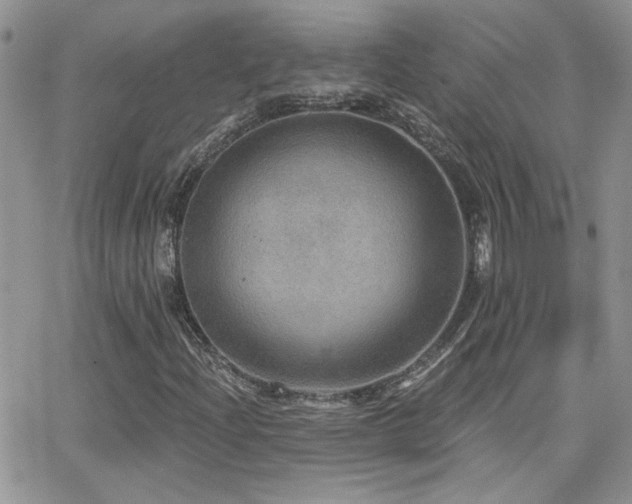X0000066951204200603241135