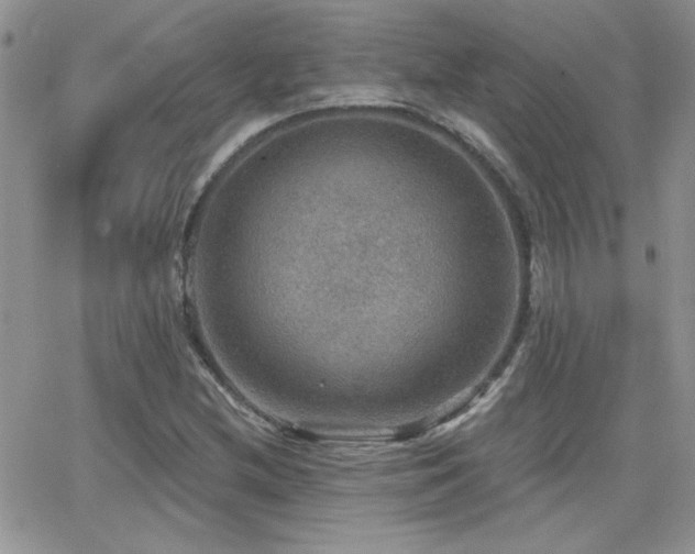 X0000066951212200603241135