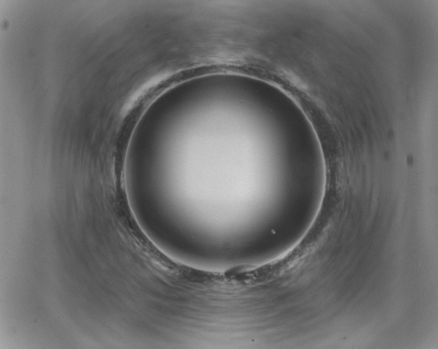 X0000066951214200603241135