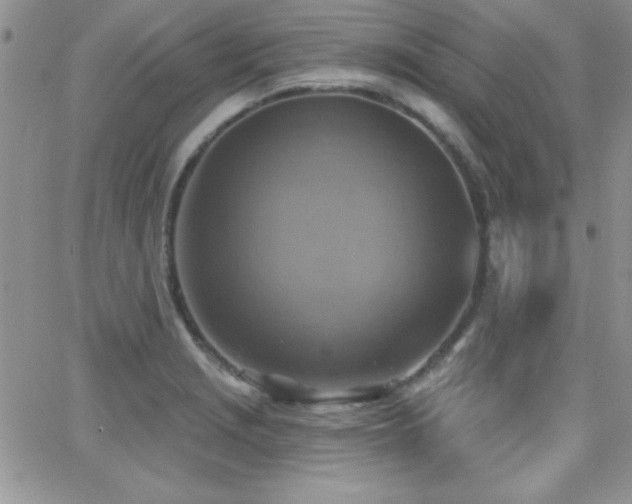 X0000066951229200603241135