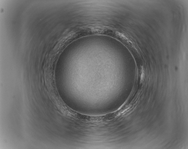 X0000066951249200603241135