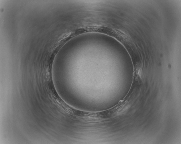 X0000066951252200603241135